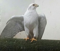 7D316DA5-18E7-4AFE-B593-4481F990AC33.jpeg
