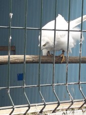 IMG-20190311-WA0128.jpg