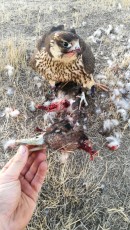 IMG-20181008-WA0017.jpg
