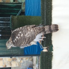 IMG_3864.JPG