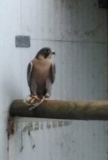 IMG-20190122-WA0004~2.jpg