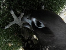 8BDA10CF-85C2-42D1-AEBD-A13AE1E1AABB.jpeg