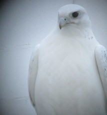 E1A66F72-65F9-475F-92AB-A6CEC39099A6.jpeg