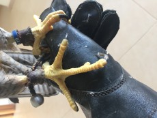Foto de las manos