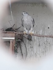 IMG-20190311-WA0069.jpg