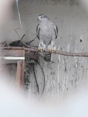 IMG-20190311-WA0066.jpg