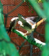 IMG_20170810_134835_634.jpg