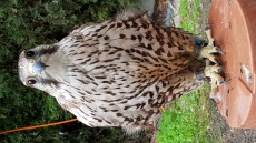 20181030_162825.jpg