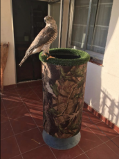 Papelera en 3 tamaños, pequeña 80 euros, mediana 120 euros, grande 150 euros
