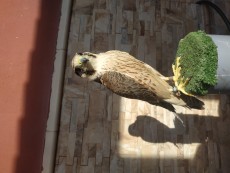 IMG_20190501_093551.jpg