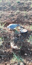 IMG-20190320-WA0079.jpeg