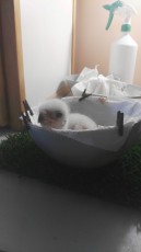 IMG-20190521-WA0003.jpg