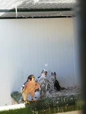 IMG_20190527_123057.jpg