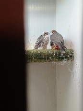 IMG_20190527_203740.jpg