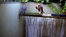 E65F1C3D-A2B3-40C8-9897-1764119BCEB8.jpeg