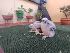 IMG-20190610-WA0011.jpg