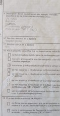 FB_IMG_1560329560501.jpg