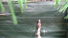 P_20190610_124857_vHDR_On.jpg