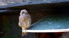 IMG_1495.JPG