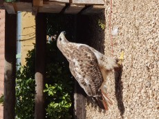 20190625_113739.jpg