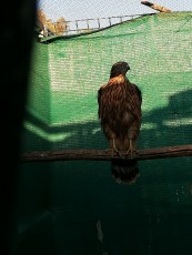 IMG_20190713_205337.jpg