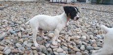IMG-20190809-WA0018.jpg