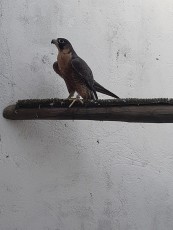 IMG-20190908-WA0026.jpg
