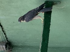 0336D063-078A-48BF-B4EE-2E0B1DBA25D7.jpeg