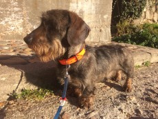 8074FA83-7DCF-4B5A-90D9-5B8194F5426D.jpeg (372.32 KiB) Visto 886 veces 8074FA83-7DCF-4B5A-90D9-5B8194F5426D.jpeg