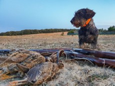 C48222FF-0A21-45EA-9132-46A310310E33.jpeg (263.11 KiB) Visto 886 veces C48222FF-0A21-45EA-9132-46A310310E33.jpeg