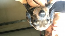 AE515364-B7AF-4C48-93CC-D03038D6A6D2.jpeg (207.27 KiB) Visto 885 veces AE515364-B7AF-4C48-93CC-D03038D6A6D2.jpeg