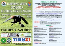 Cartel campeonato de la puebla