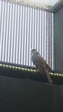 IMG_20190909_143245.jpg