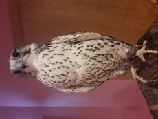 20191008_215547.jpg
