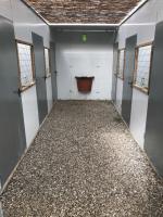 mini_IMG-20181228-WA0034.jpg