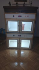 IMG-20190418-WA0011.jpeg