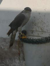 IMG_20200207_110905.jpg