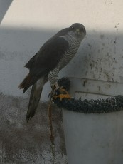 IMG_20200207_110903.jpg