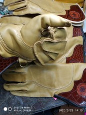 IMG_20200328_141956.jpg