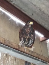 IMG_20200217_122204.jpg