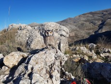 peñon de la mata