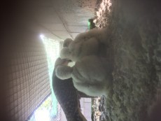 267C0886-760B-42A8-91E0-77C53EE0ED75.jpeg