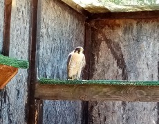 060A2EE7-2091-4EAB-9D83-A918F4698D9F.jpeg