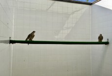 IMG_3399.jpg