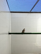 IMG_3385.jpg