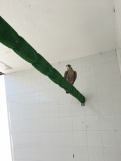 IMG_3383.JPG