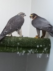 IMG20200610212631.jpg