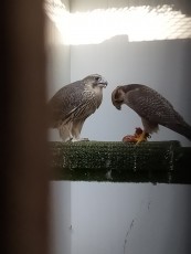 IMG20200613201149.jpg