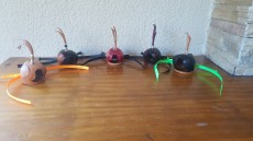 20200621_121058.jpg