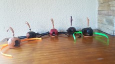 20200621_121048.jpg
